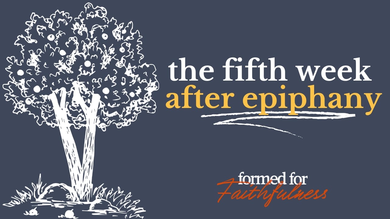 Formed for Faithfulness: The Fifth Week After Epiphany