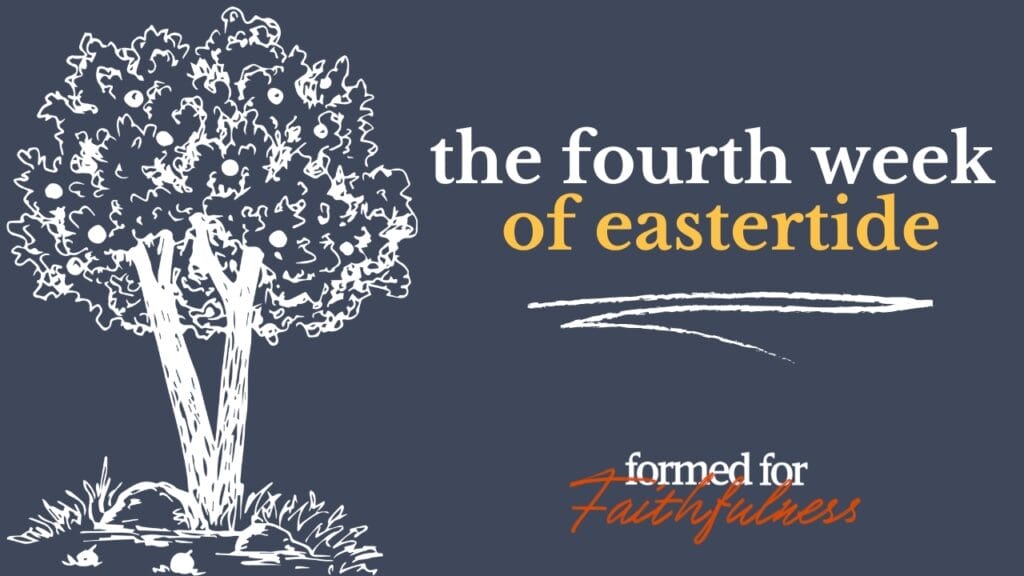 formed_for_faithfulness_thumbnail_10_