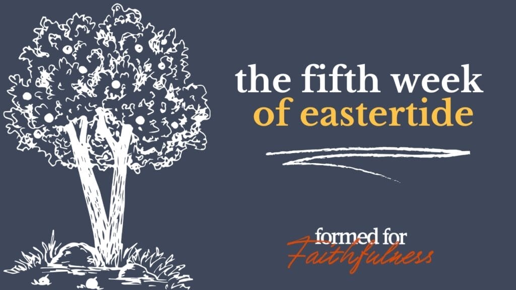 formed_for_faithfulness_thumbnail_14_